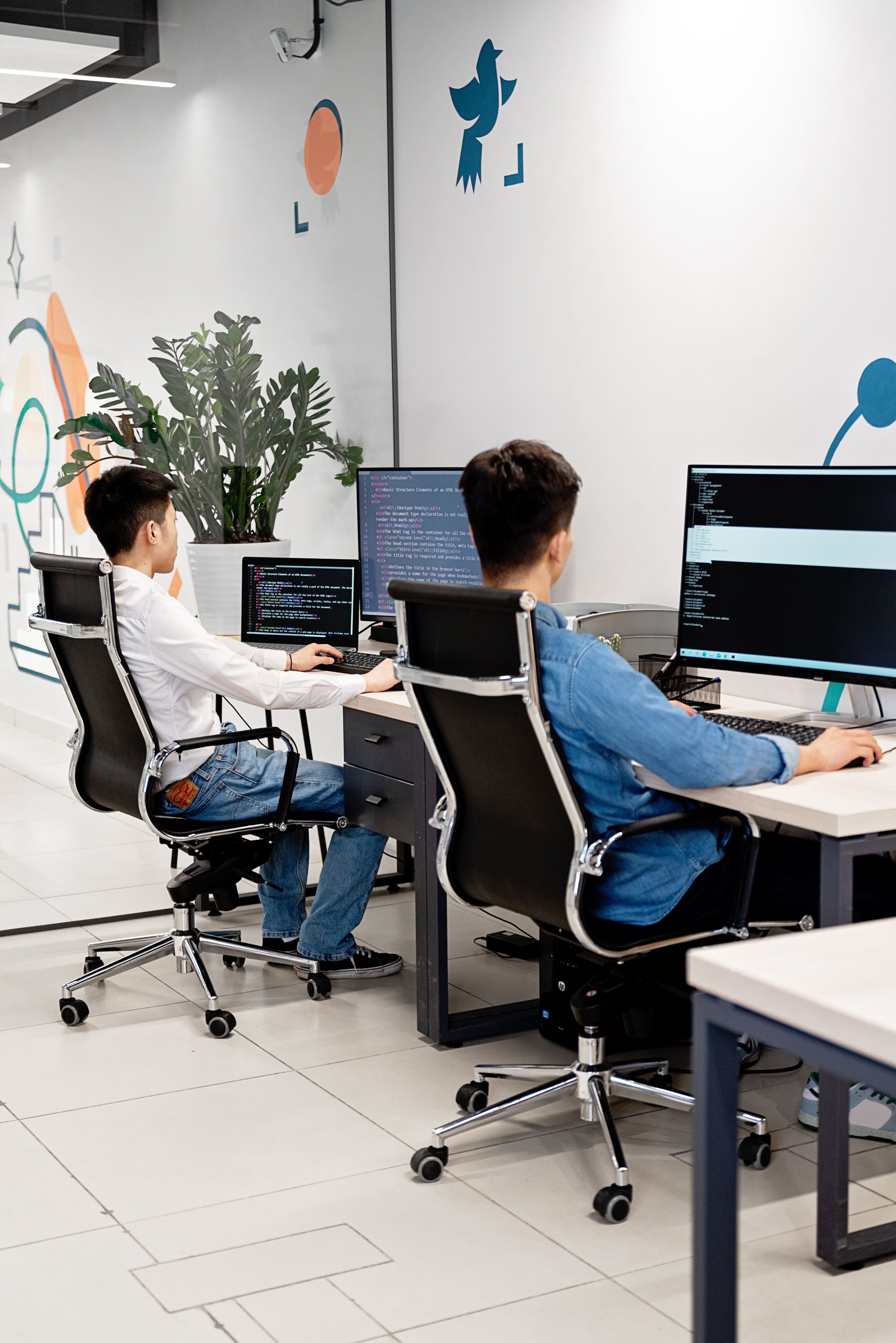Software Development
